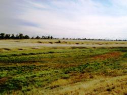 post-30270-0-25903100-1390400954_thumb.j