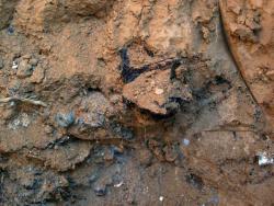 post-30270-0-31858300-1390830151_thumb.j