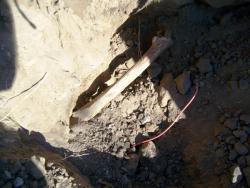 post-30270-0-32846700-1390479099_thumb.j