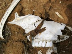 post-30270-0-34299300-1390478574_thumb.j