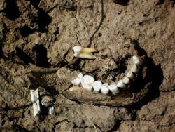 post-30270-0-44321200-1390479059_thumb.j