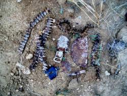 post-30270-0-56563600-1390402400_thumb.j