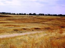 post-30270-0-60041800-1390400970_thumb.j