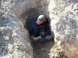 post-30270-0-60693900-1390638691_thumb.j