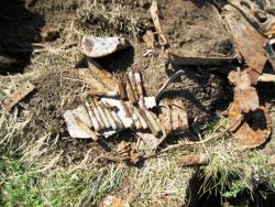 post-30270-0-62828900-1390402463_thumb.j