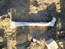 post-30270-0-63009200-1390639501_thumb.j