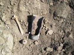 post-30270-0-64064500-1390479135_thumb.j