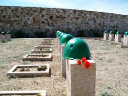 post-30270-0-65961800-1390649415_thumb.j