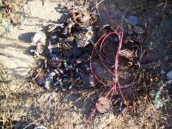 post-30270-0-71726300-1390479997_thumb.j