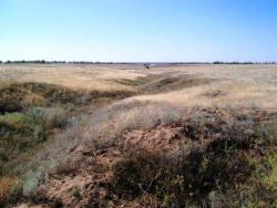 post-30270-0-74436300-1390638699_thumb.j