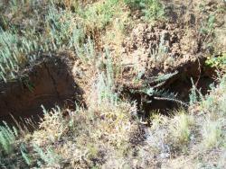 post-30270-0-79735800-1390639493_thumb.j