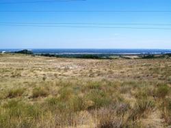 post-30270-0-84560900-1390582517_thumb.j