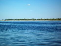 post-30270-0-85281800-1390581743_thumb.j