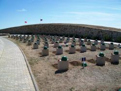 post-30270-0-86901800-1390649407_thumb.j