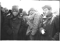 post-30270-0-88042900-1390823202_thumb.j