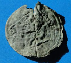 post-3282-0-59192200-1388596244_thumb.jp