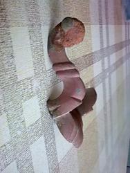 post-3696-0-52913200-1389824821_thumb.jp