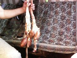 post-4269-0-09677100-1389253754_thumb.jp