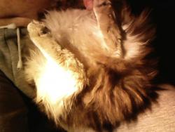 post-4269-0-18317000-1388848741_thumb.jp