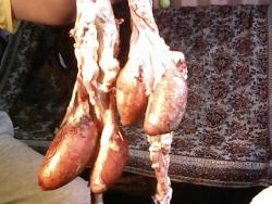 post-4269-0-81072400-1389253939_thumb.jp