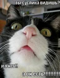 post-4840-0-17651500-1390398805_thumb.jp