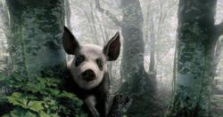 post-7121-0-60412500-1390394798_thumb.jp