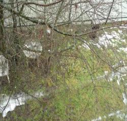 post-8114-0-30924800-1389351199_thumb.jp