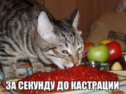 post-10547-0-08800600-1420126535_thumb.j