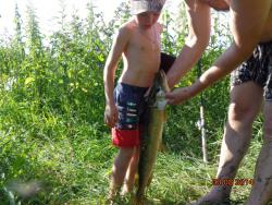 post-10547-0-11645700-1422118472_thumb.j