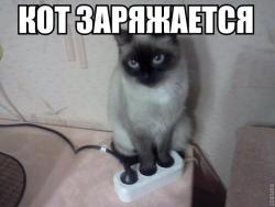 post-10547-0-23968700-1421516135_thumb.j