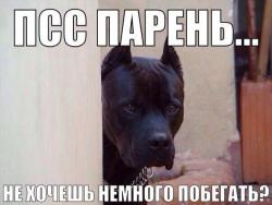 post-10547-0-30979200-1421160242_thumb.j