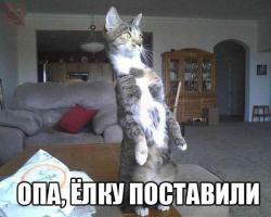 post-10547-0-31824100-1420126661_thumb.j