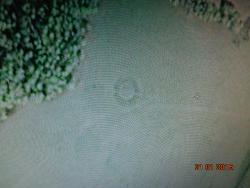 post-10547-0-43662000-1421774473_thumb.j