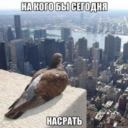 post-10547-0-64649800-1420459865_thumb.j