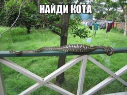 post-10547-0-65790500-1421160272_thumb.j