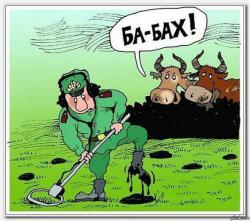 post-11805-0-54781200-1422616242_thumb.j