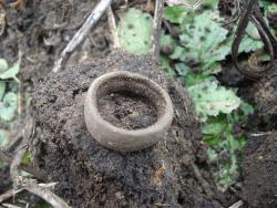 post-12373-0-49372900-1421154705_thumb.j