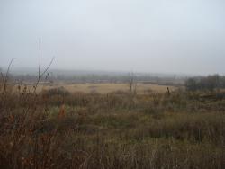 post-12373-0-53780200-1421154578_thumb.j