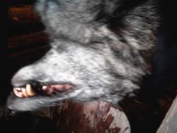 post-14486-0-04133600-1422249504_thumb.j