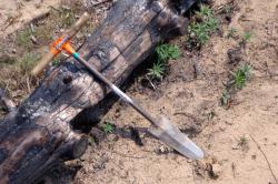 post-14555-0-82021200-1421170023_thumb.j