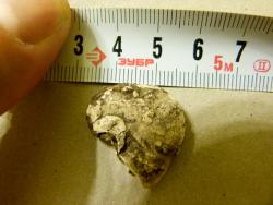 post-27129-0-35948900-1421176224_thumb.j