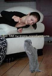 post-28141-0-00993800-1420398114_thumb.j