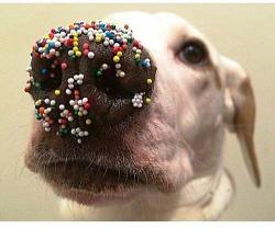 post-28141-0-77542500-1420398018_thumb.j