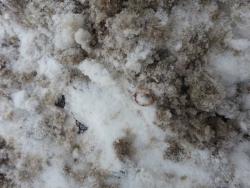 post-29721-0-30281500-1422564793_thumb.j