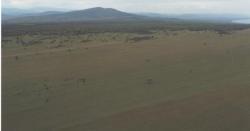 post-29797-0-53250800-1421833383_thumb.j