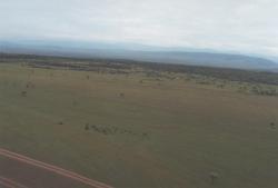 post-29797-0-77013300-1421833383_thumb.j