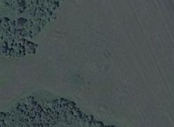 post-29850-0-00834300-1421997821_thumb.j