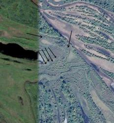 post-30537-0-26828000-1421765293_thumb.j