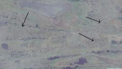 post-30537-0-39187900-1421765305_thumb.j