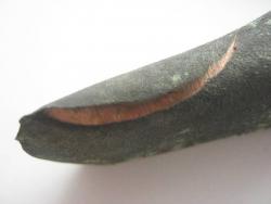 post-31537-0-34557500-1422097558_thumb.j